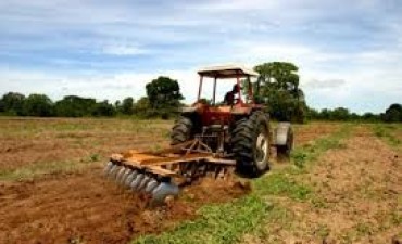 ASISTENCIA PARA LOS PRODUCTORES