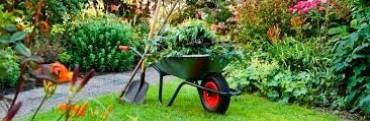 JORNADA DE JARDINERÍA
