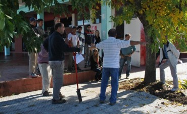TALLER DE PODA DE ARBOLADO URBANO