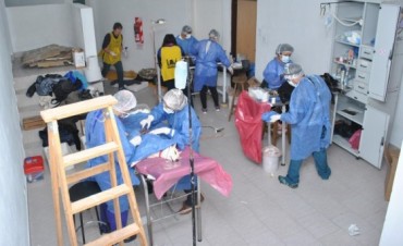 ESTERILIZACIÓN DE MASCOTAS