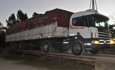 CARGARON CAMIÓN CON CARTÓN