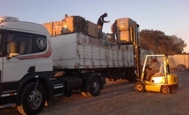 CARGARON CAMIÓN CON PLÁSTICO